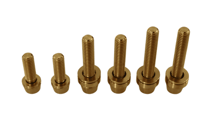 Brake Caliper Bolt Gold